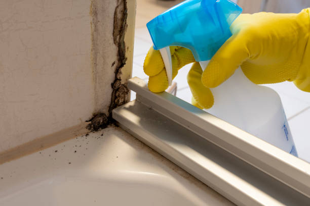 Best Mold Cleaning Services  in Hopewell, NJ