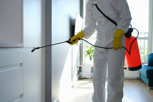 Best Same-Day Mold Removal  in Hopewell, NJ