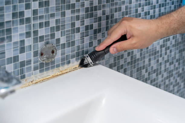 Best Fast Mold Removal  in Hopewell, NJ
