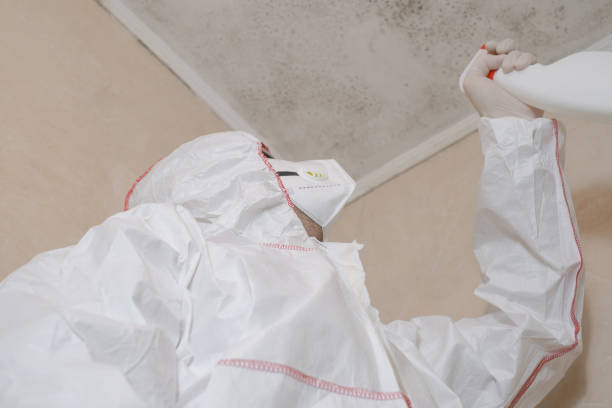 Best Mold Removal Process  in Hopewell, NJ