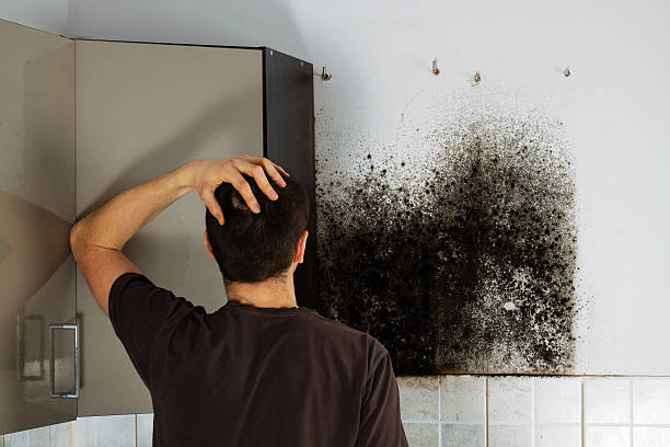 Crawl Space Mold Removal in Hopewell, NJ